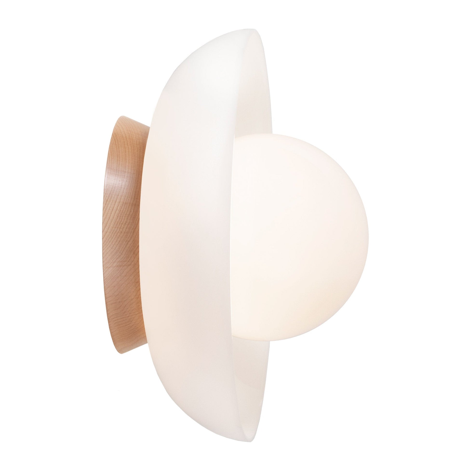 Glass Lexi Large 6" globe shown in Maple.